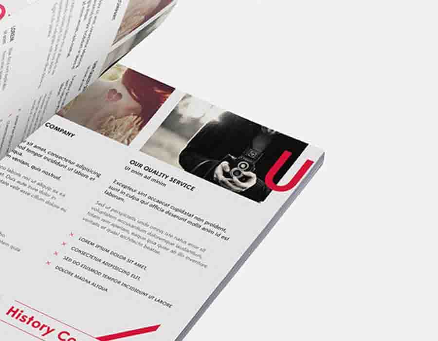 Our Portfolio 1