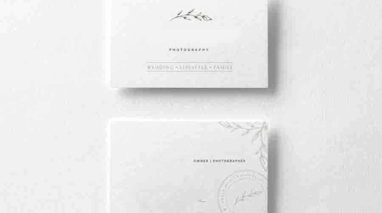 Our Portfolio 1